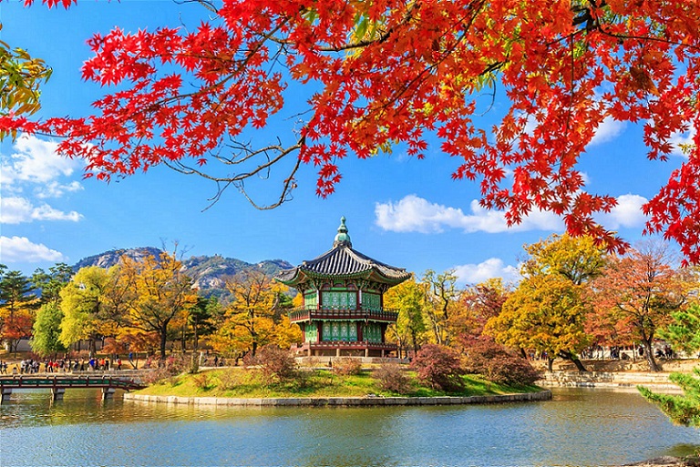 Top 10 Công ty du lịch hàng đầu Hàn Quốc (Best of 2020)